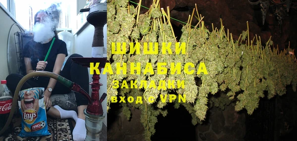 PSILOCYBIN Волосово