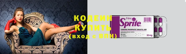 шишки Снежногорск