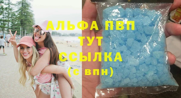 PSILOCYBIN Волосово
